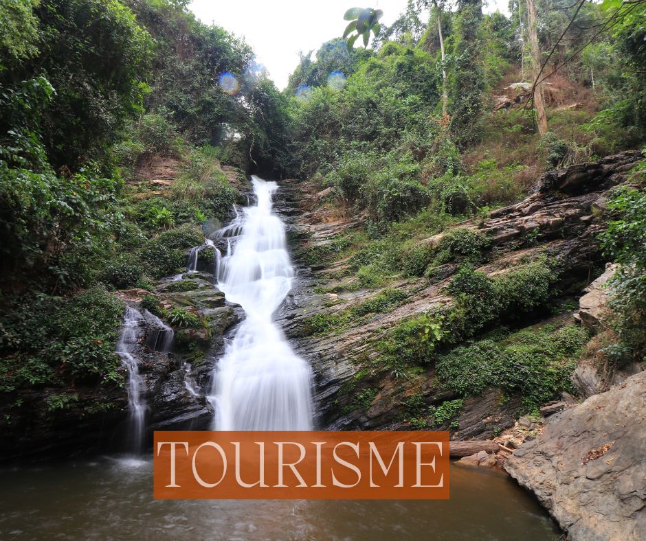 Tourisme, excursions,dja et Lobo, Congo